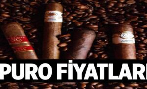 Puro Fiyatlari 1024x622jGy.jpg