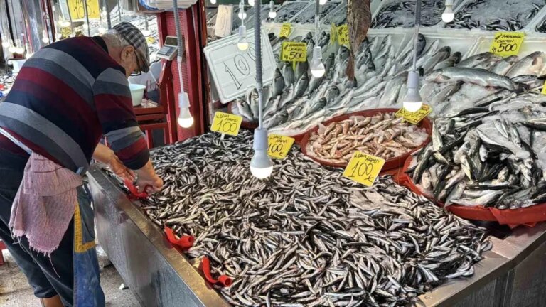 karabukte hamsi bereketi kilo 100 tl sPCRxUXO.jpg
