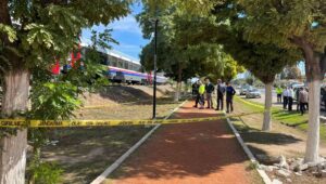 torununu kurtarmak isterken tren carpti b1j2DwPd.jpg