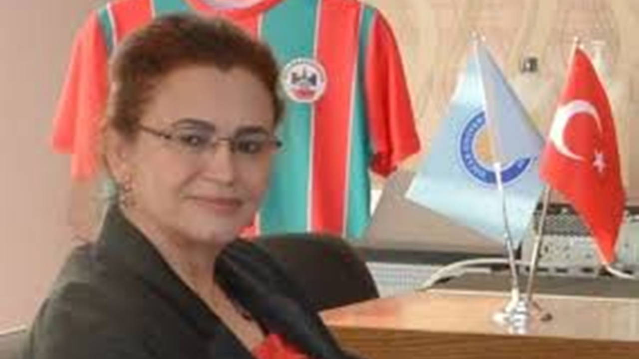 Sınır Aşan Mermiler Mardin’de Profesörü Yaraladı